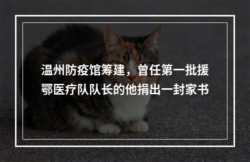 温州防疫馆筹建，曾任第一批援鄂医疗队队长的他捐出一封家书