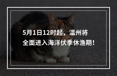 5月1日12时起，温州将全面进入海洋伏季休渔期！