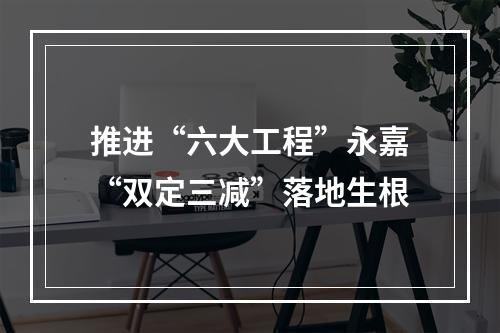 推进“六大工程”永嘉“双定三减”落地生根