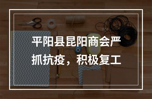 平阳县昆阳商会严抓抗疫，积极复工