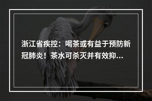 浙江省疾控：喝茶或有益于预防新冠肺炎！茶水可杀灭并有效抑制细胞内病毒复制！