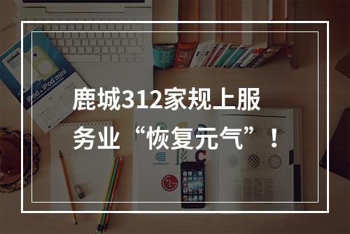 鹿城312家规上服务业“恢复元气”！