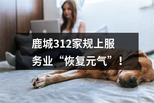 鹿城312家规上服务业“恢复元气”！