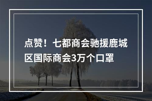 点赞！七都商会驰援鹿城区国际商会3万个口罩