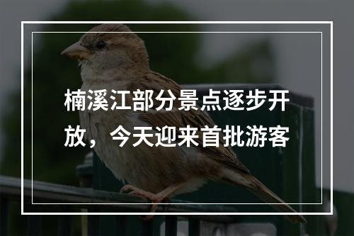 楠溪江部分景点逐步开放，今天迎来首批游客