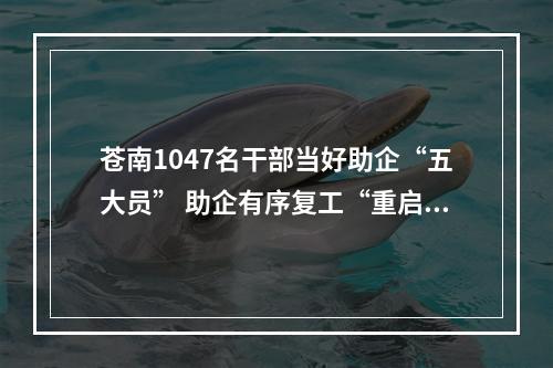 苍南1047名干部当好助企“五大员” 助企有序复工“重启”