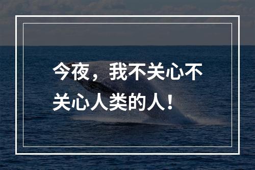 今夜，我不关心不关心人类的人！