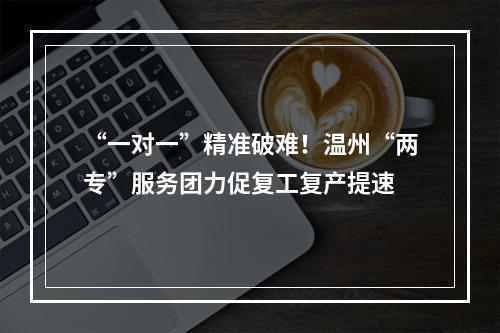 “一对一”精准破难！温州“两专”服务团力促复工复产提速
