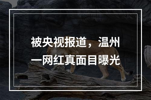 被央视报道，温州一网红真面目曝光
