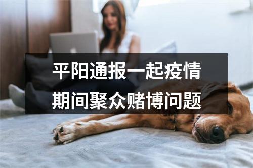 平阳通报一起疫情期间聚众赌博问题