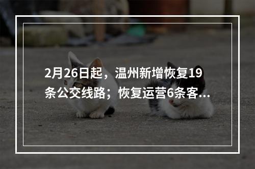 2月26日起，温州新增恢复19条公交线路；恢复运营6条客运班线