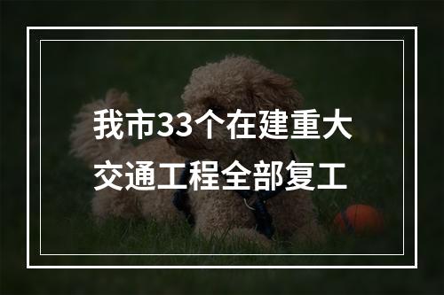 我市33个在建重大交通工程全部复工