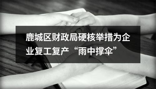 鹿城区财政局硬核举措为企业复工复产“雨中撑伞”