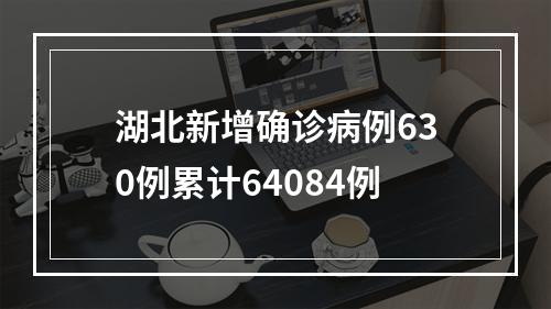 湖北新增确诊病例630例累计64084例
