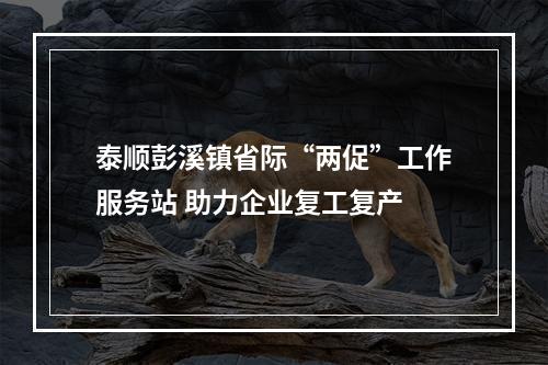 泰顺彭溪镇省际“两促”工作服务站 助力企业复工复产