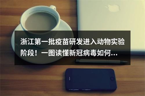 浙江第一批疫苗研发进入动物实验阶段！一图读懂新冠病毒如何侵染人体