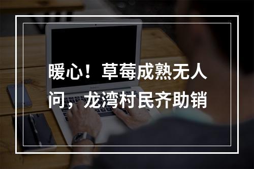 暖心！草莓成熟无人问，龙湾村民齐助销
