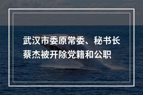 武汉市委原常委、秘书长蔡杰被开除党籍和公职