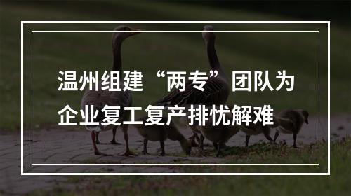 温州组建“两专”团队为企业复工复产排忧解难