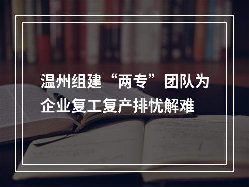 温州组建“两专”团队为企业复工复产排忧解难