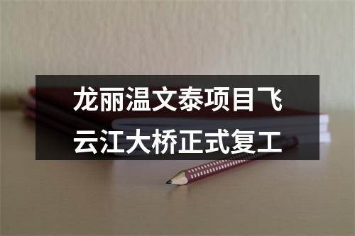 龙丽温文泰项目飞云江大桥正式复工