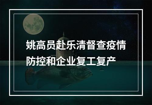 姚高员赴乐清督查疫情防控和企业复工复产