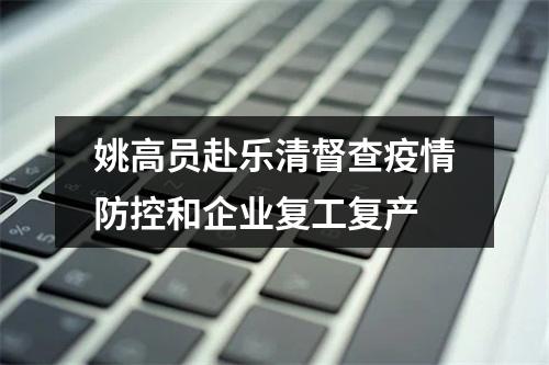 姚高员赴乐清督查疫情防控和企业复工复产
