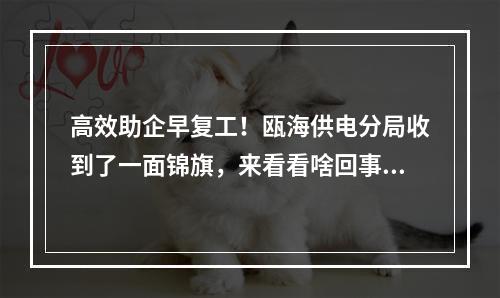 高效助企早复工！瓯海供电分局收到了一面锦旗，来看看啥回事……