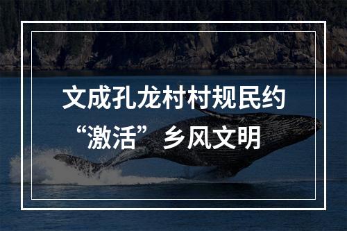 文成孔龙村村规民约“激活”乡风文明