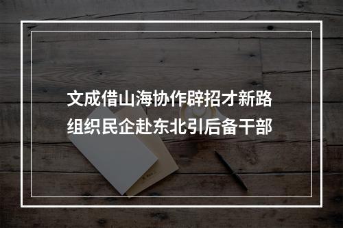 文成借山海协作辟招才新路 组织民企赴东北引后备干部