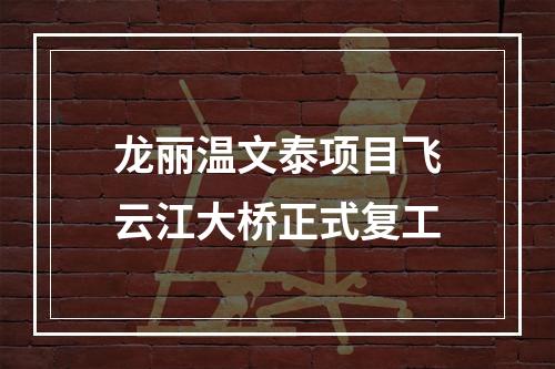 龙丽温文泰项目飞云江大桥正式复工