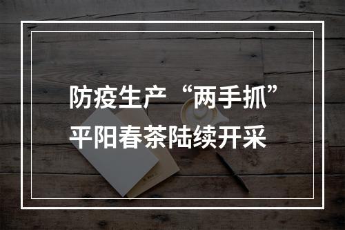 防疫生产“两手抓”平阳春茶陆续开采