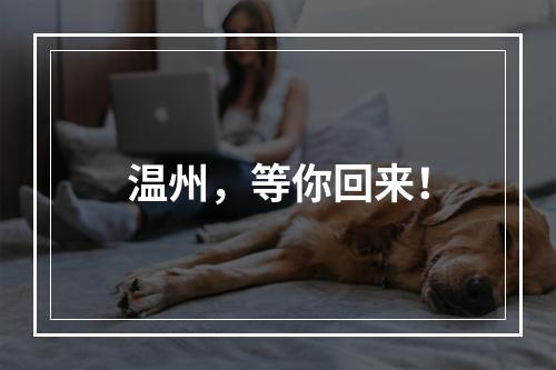 温州，等你回来！