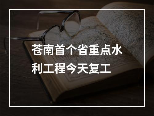 苍南首个省重点水利工程今天复工