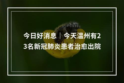 今日好消息｜今天温州有23名新冠肺炎患者治愈出院