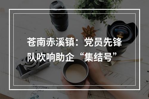 苍南赤溪镇：党员先锋队吹响助企“集结号”