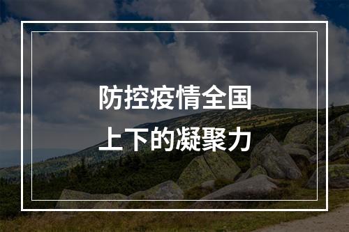 防控疫情全国上下的凝聚力