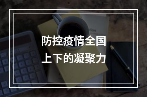防控疫情全国上下的凝聚力