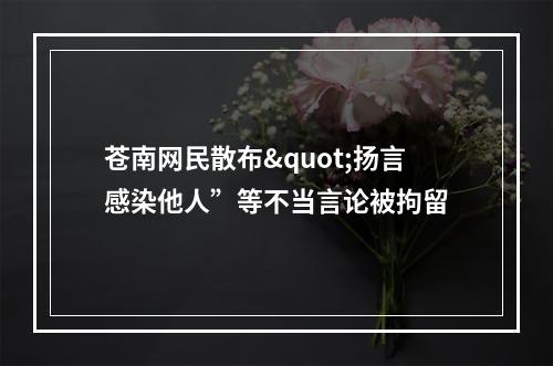 苍南网民散布"扬言感染他人”等不当言论被拘留