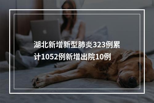 湖北新增新型肺炎323例累计1052例新增出院10例