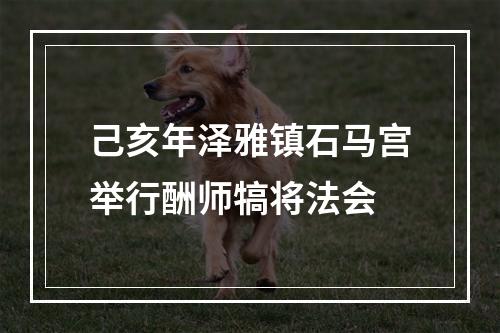 己亥年泽雅镇石马宫举行酬师犒将法会