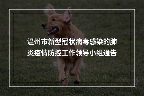 温州市新型冠状病毒感染的肺炎疫情防控工作领导小组通告