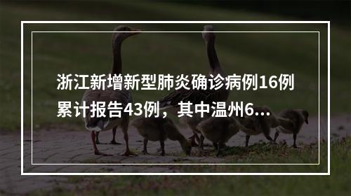 浙江新增新型肺炎确诊病例16例累计报告43例，其中温州6例，含重症1例、出院1例