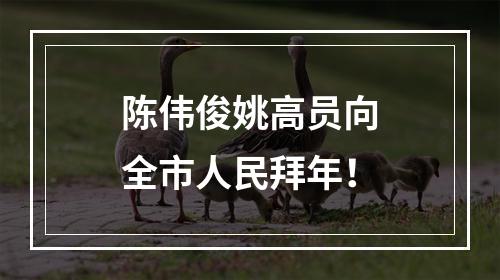 陈伟俊姚高员向全市人民拜年！