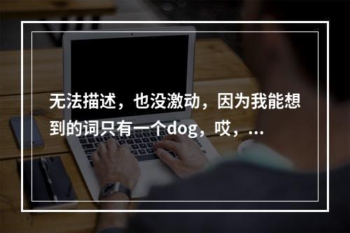 无法描述，也没激动，因为我能想到的词只有一个dog，哎，不说了讲正事吧：上了一年