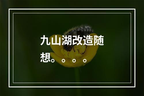 九山湖改造随想。。。。