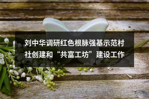 刘中华调研红色根脉强基示范村社创建和“共富工坊”建设工作