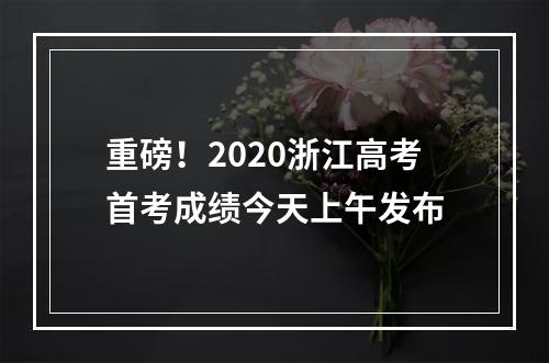 重磅！2020浙江高考首考成绩今天上午发布