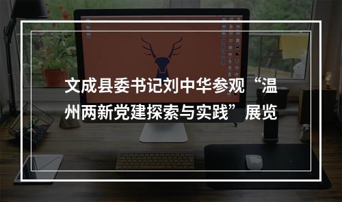 文成县委书记刘中华参观“温州两新党建探索与实践”展览