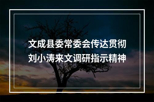 文成县委常委会传达贯彻刘小涛来文调研指示精神